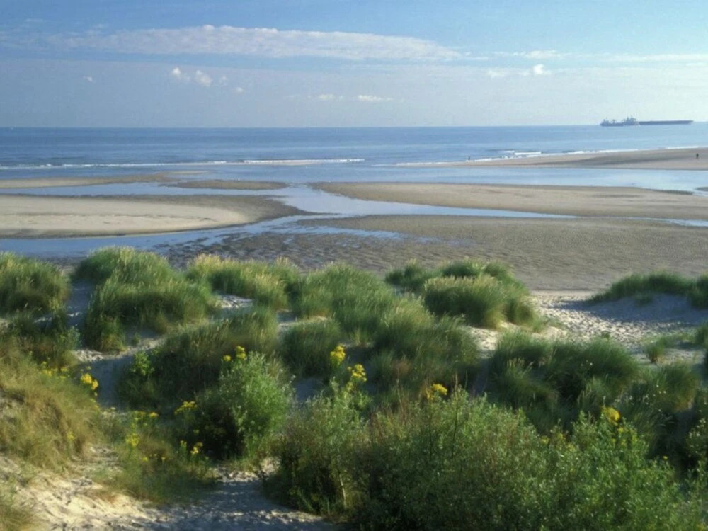 Nice apartment on the edge of the center of Bray-Dunes