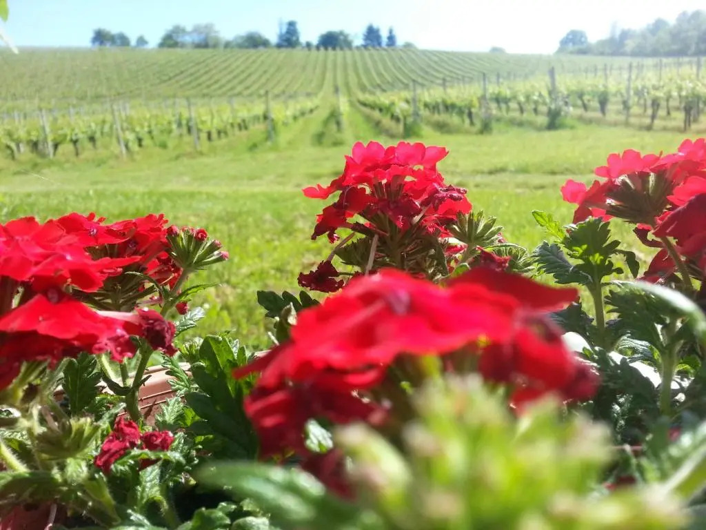Stupnički Dvori Winery Hotel