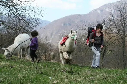 Il Capriolo Felice - Agriturismo