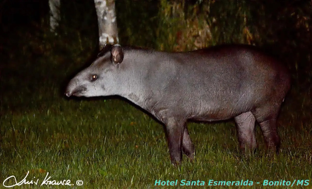 Hotel Santa Esmeralda