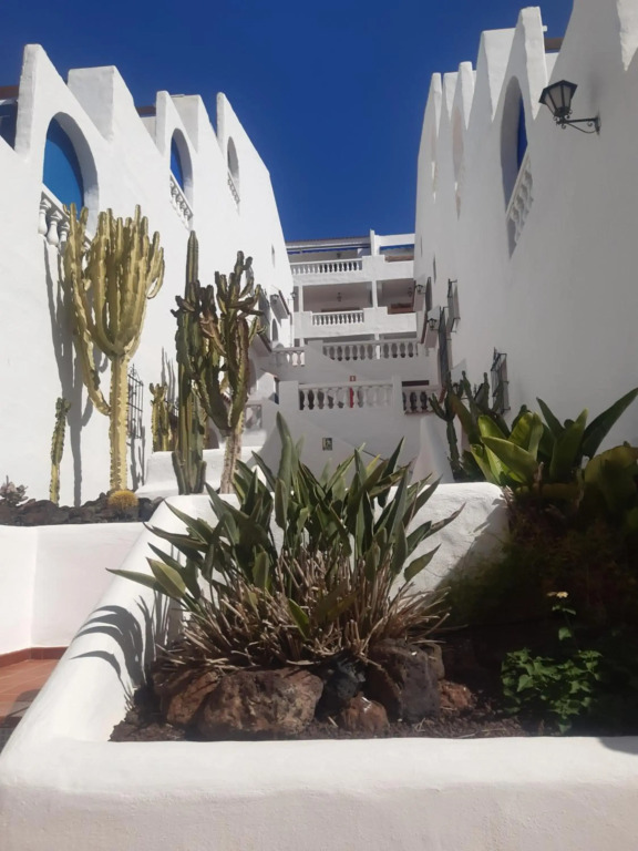 Sunny Tenerife, Los Cristianos, Studio