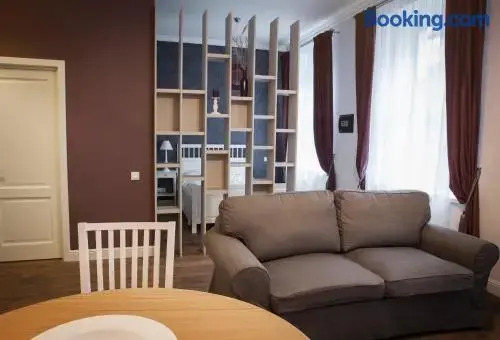 Vilnius street apartment