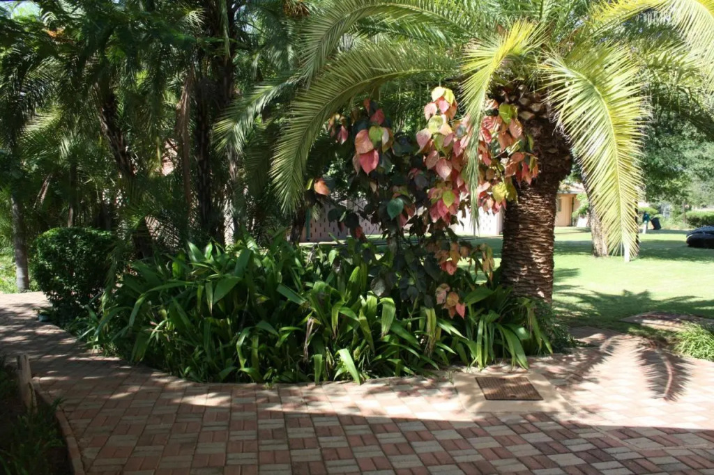 Cresta Bosele Hotel