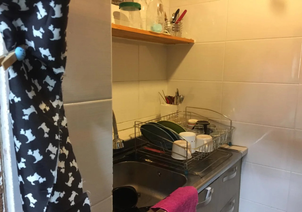 Backpackers in Jeju City Center