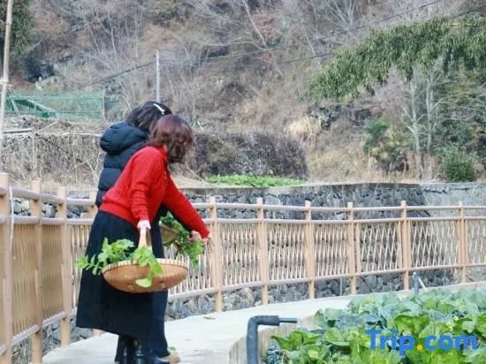 Chunxueju Boutique Homestay