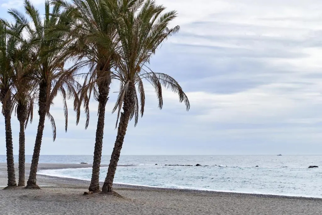 Apartment 250 M from the beach