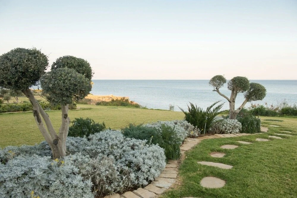 Villa Scarlet