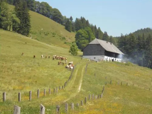 Gästehaus Poldi