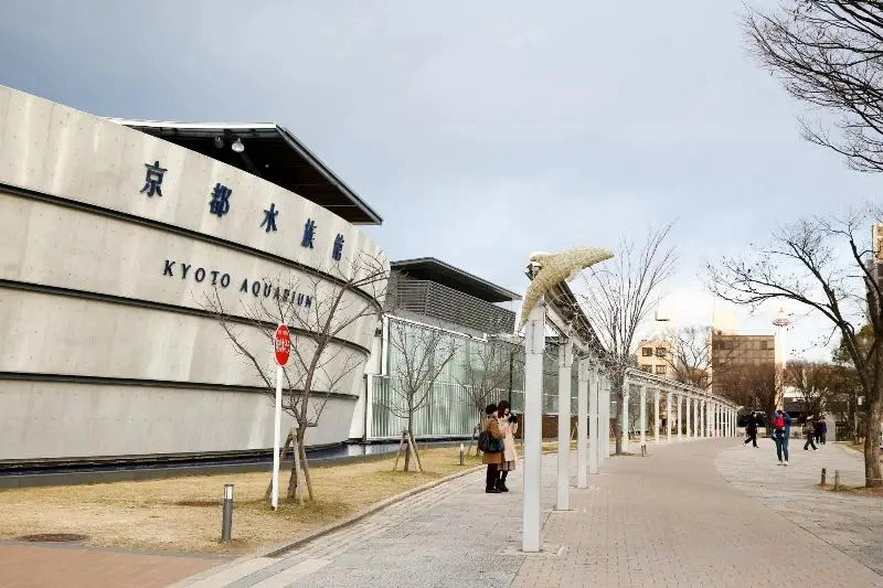 Luxury Home 5 minutes from Nishioji Station   Portable Wifi