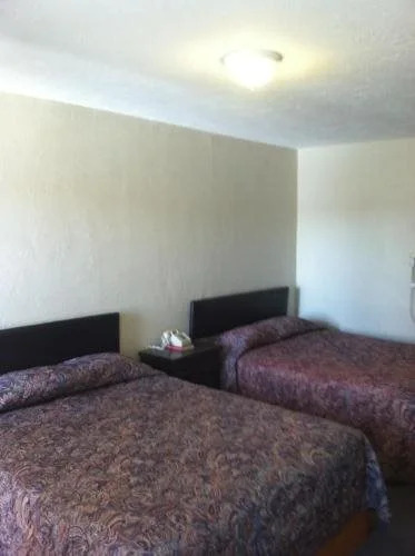 Ace Lodge