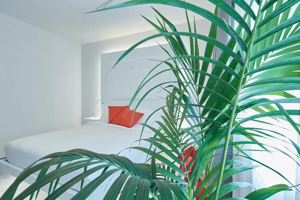 Via Roma 25 Bed&Breakfast