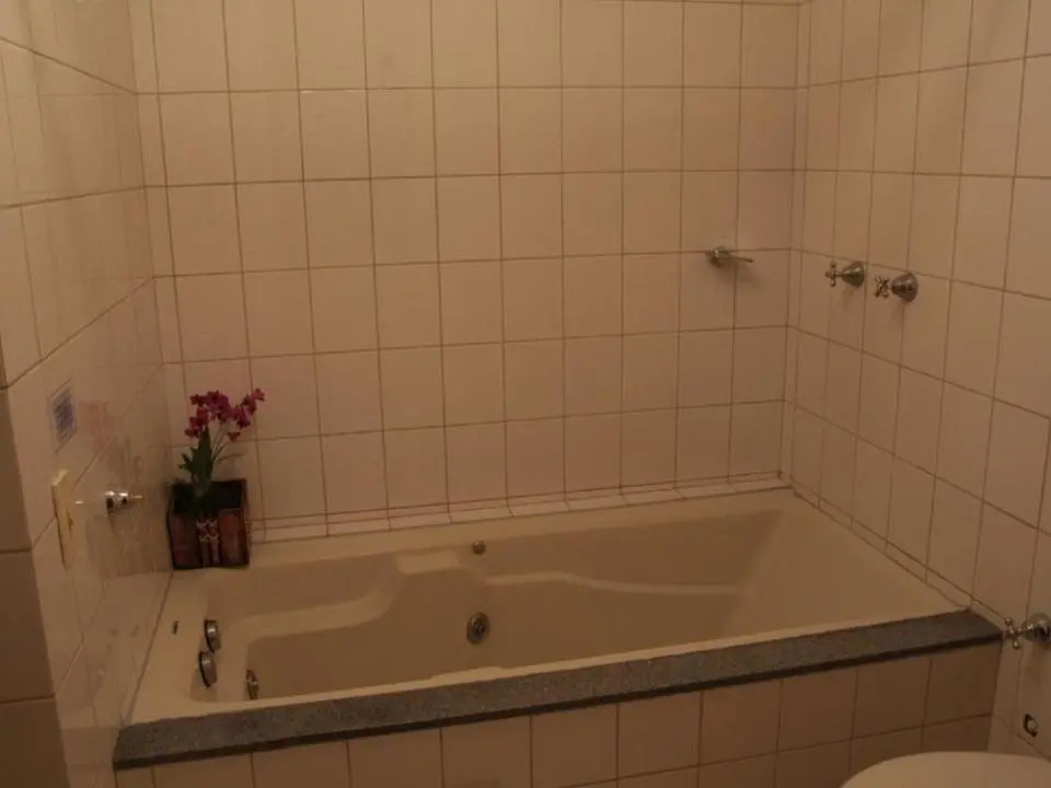 Thermas de Piratuba Park Hotel