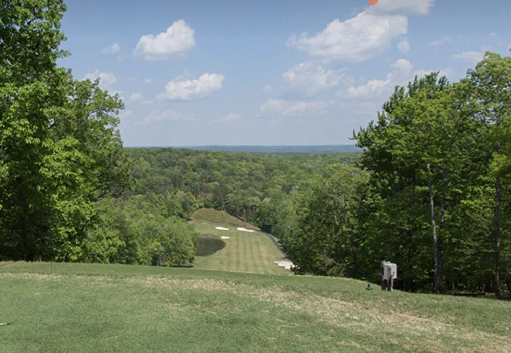Luxury Mountain Home in Big Canoe! Golf / Lake / EV / Game Room!