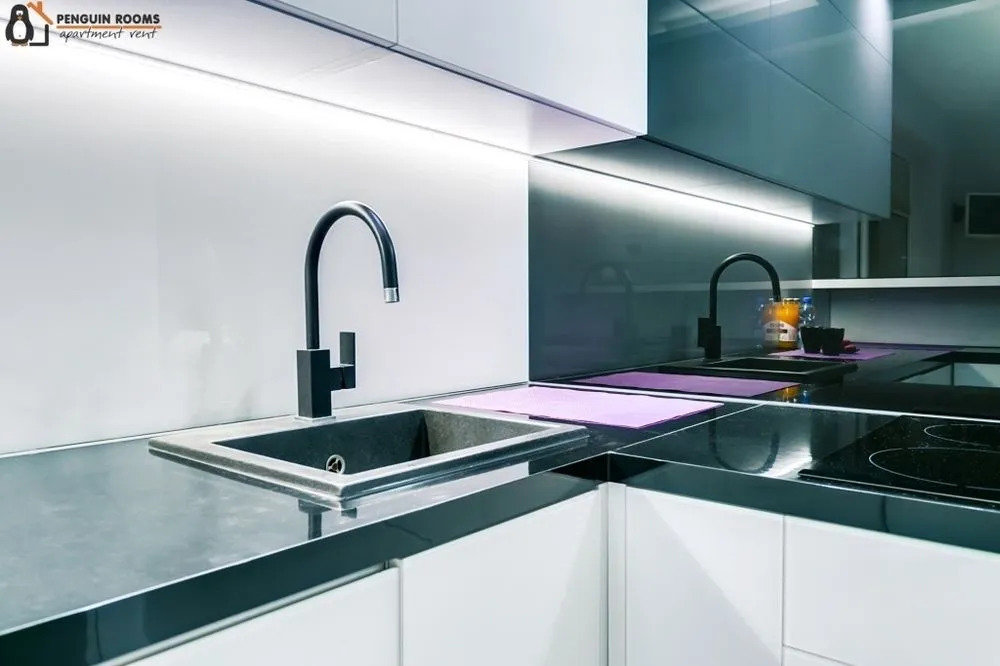 Penguin Rooms - Kielce Downtown Wiosenna