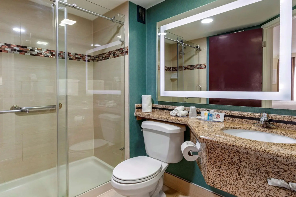 Comfort Inn & Suites Houston I-10 West Energy Corridor
