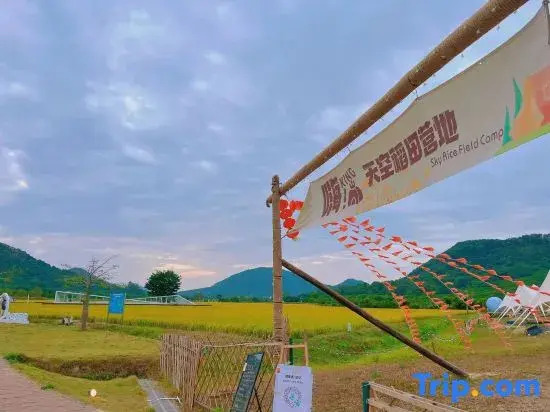 Sky Paddy Field Camp