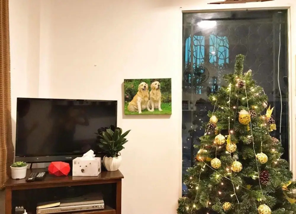 An Corner Homestay