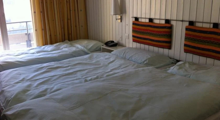 Hotel Alpina