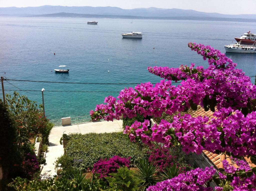 Matea - 20m From the sea - A2