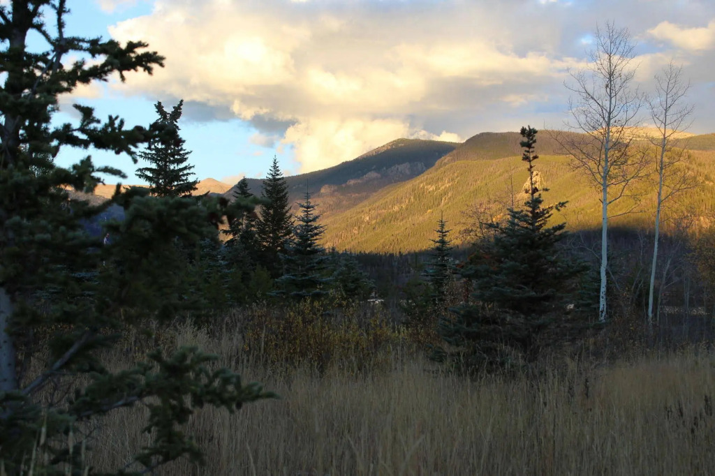Lone Eagle Lodge