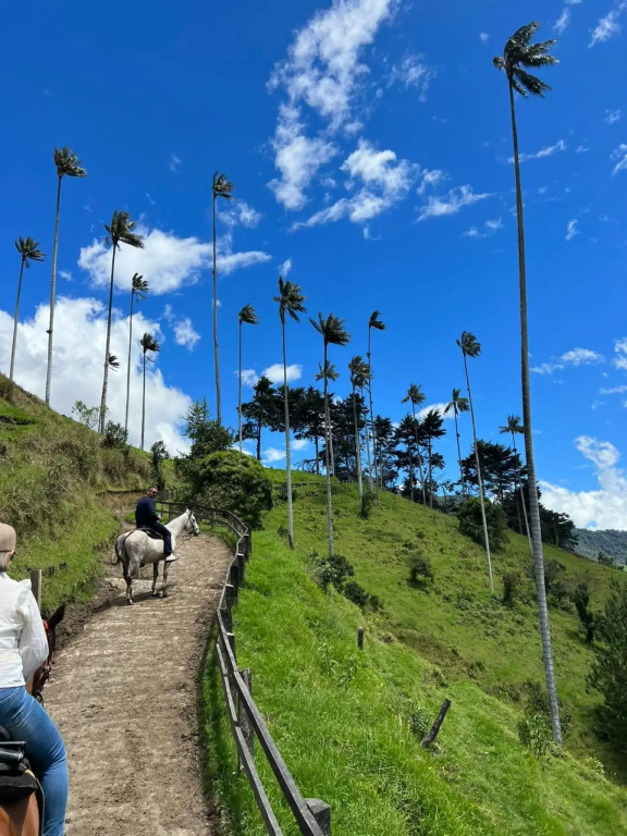 Apartamento Mi Refugio