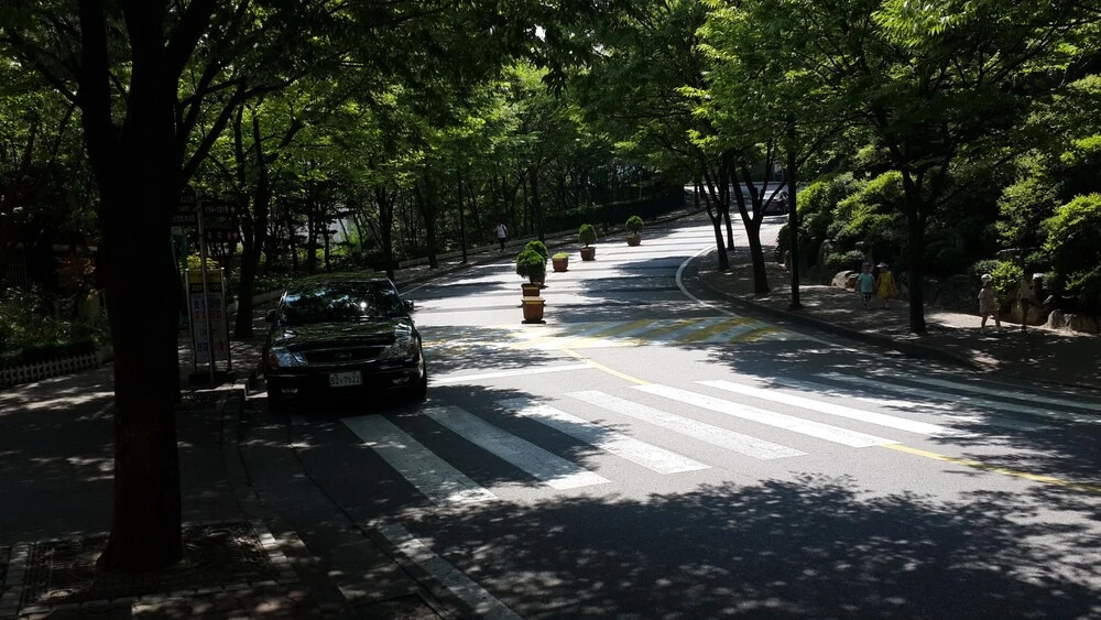 Spacious Apartment in Central Seoul