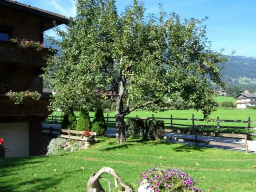 Apart Dornauer