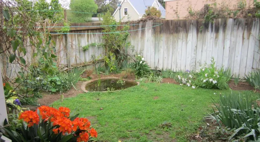 Corgi Park