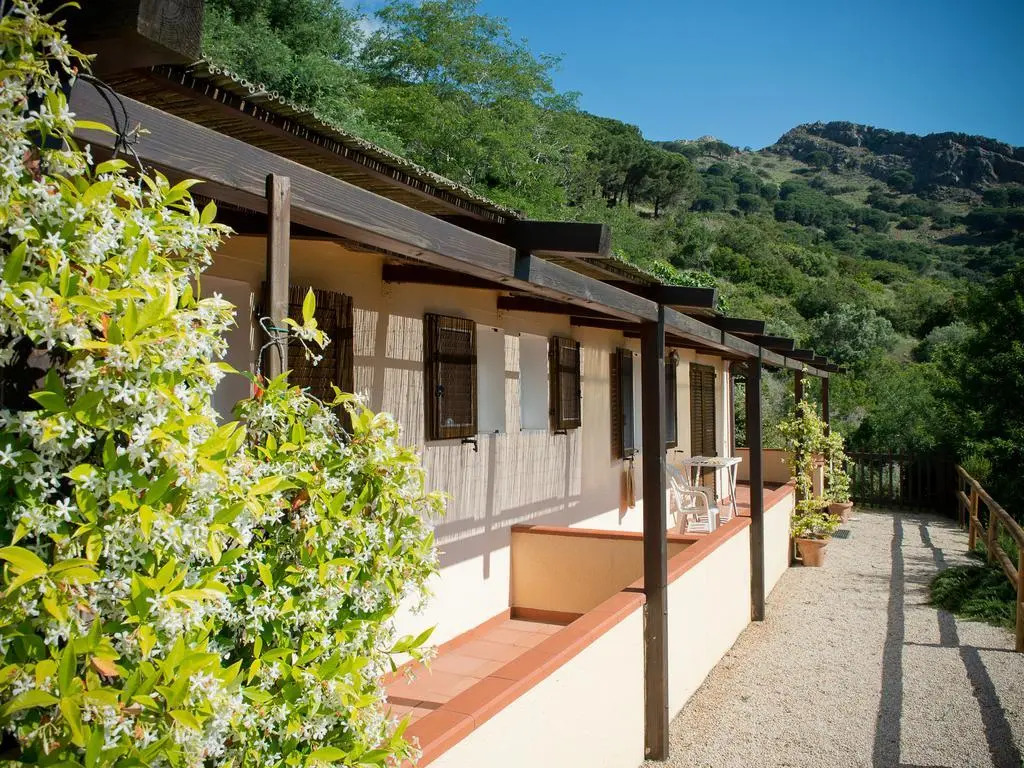 La Mandolaia