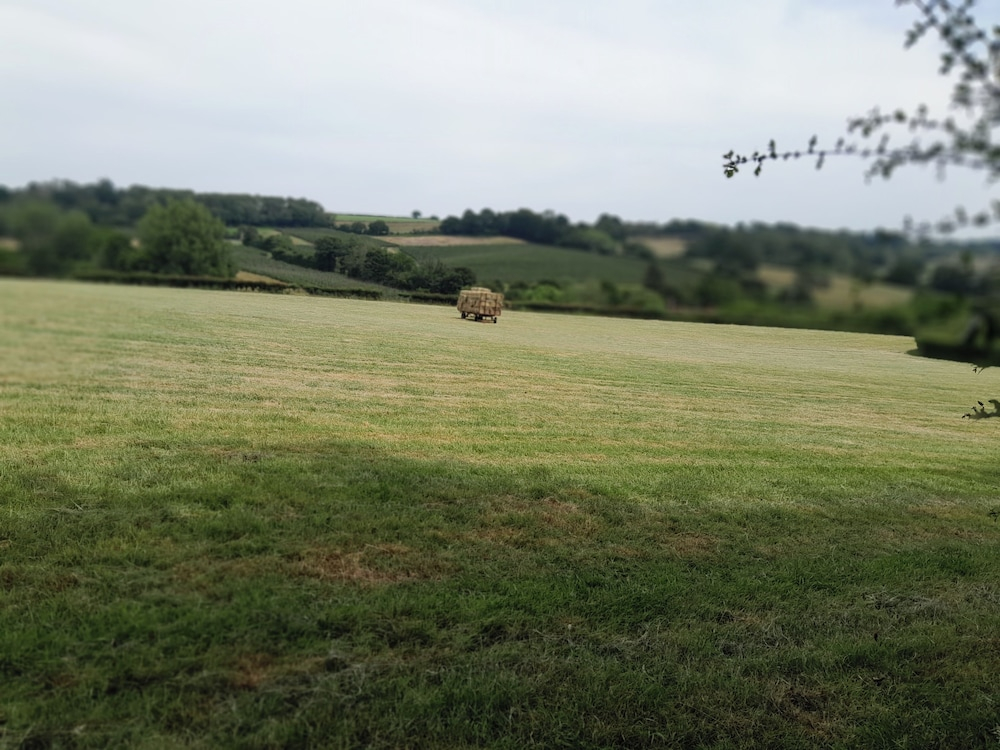 Little Greenwood Shepherd Hut - Sleeps 2