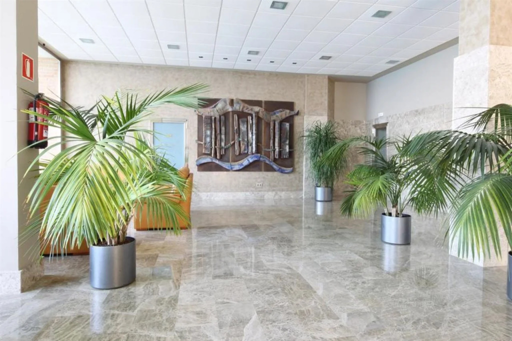 Apartamentos Lido
