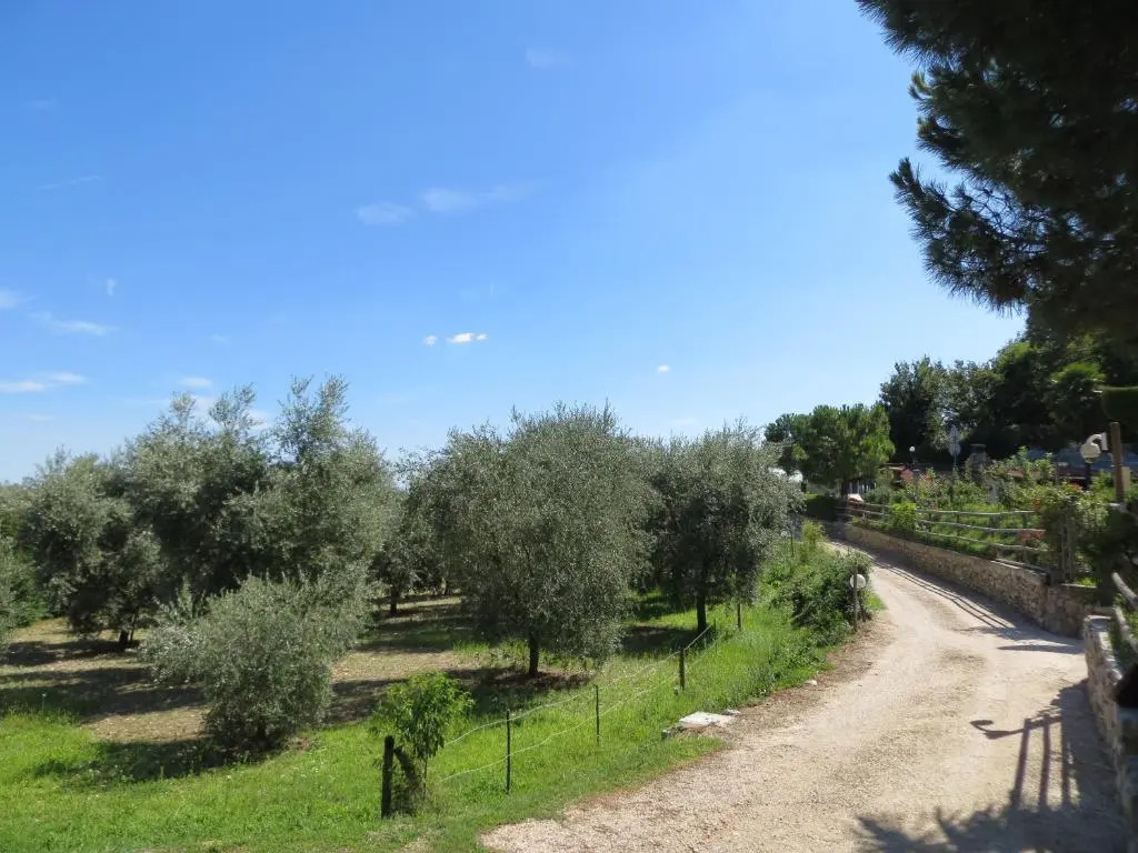 Monte Lago