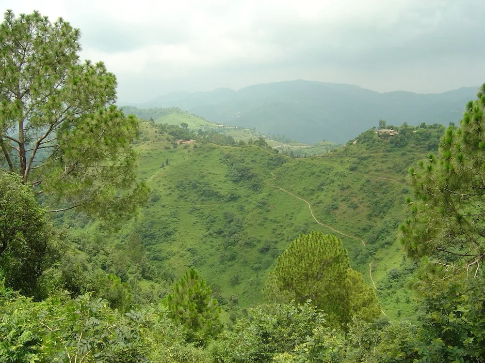 Park Woods Shoghi