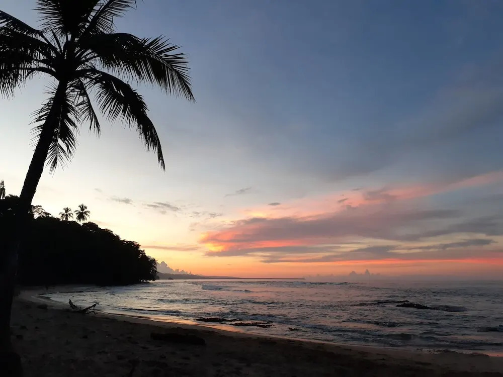 Paradise 2.0 Beach Hub