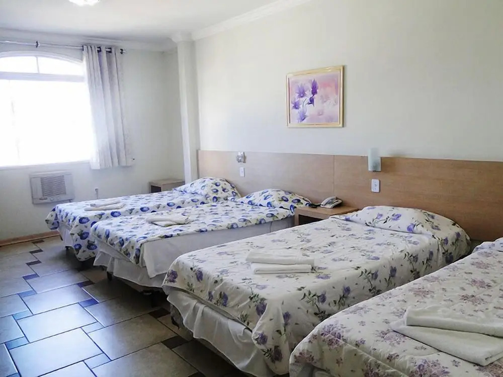 Alzira Park Hotel Ltda