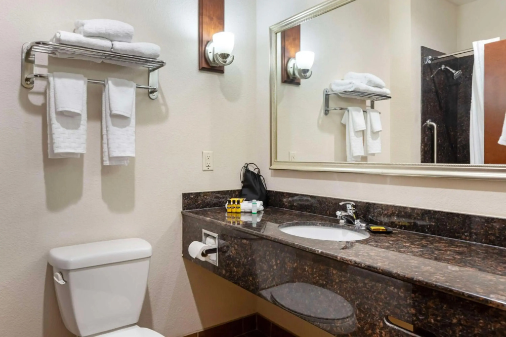 Best Western Plus Greenville South