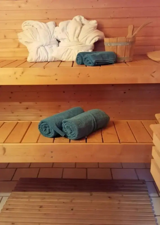 Finnish log House With Sauna and Fireplace