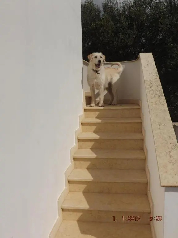 Villetta Roberto 1