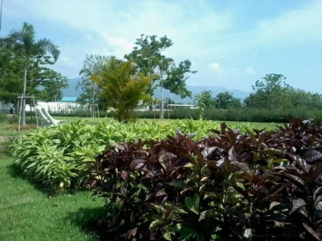 Runway Station Resort