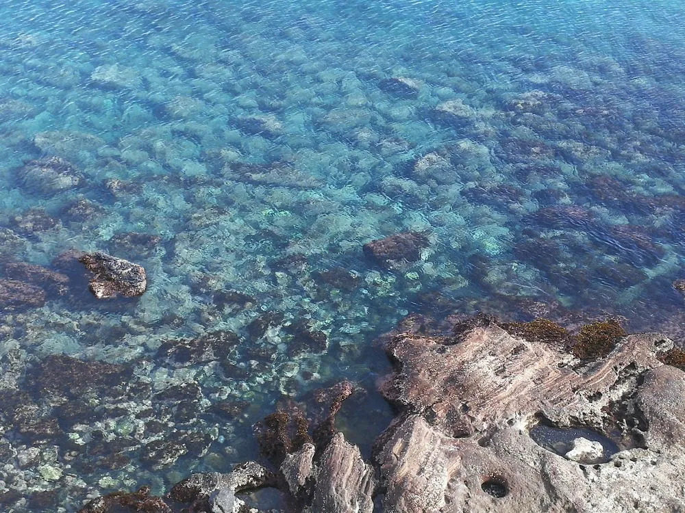 Cap Confort