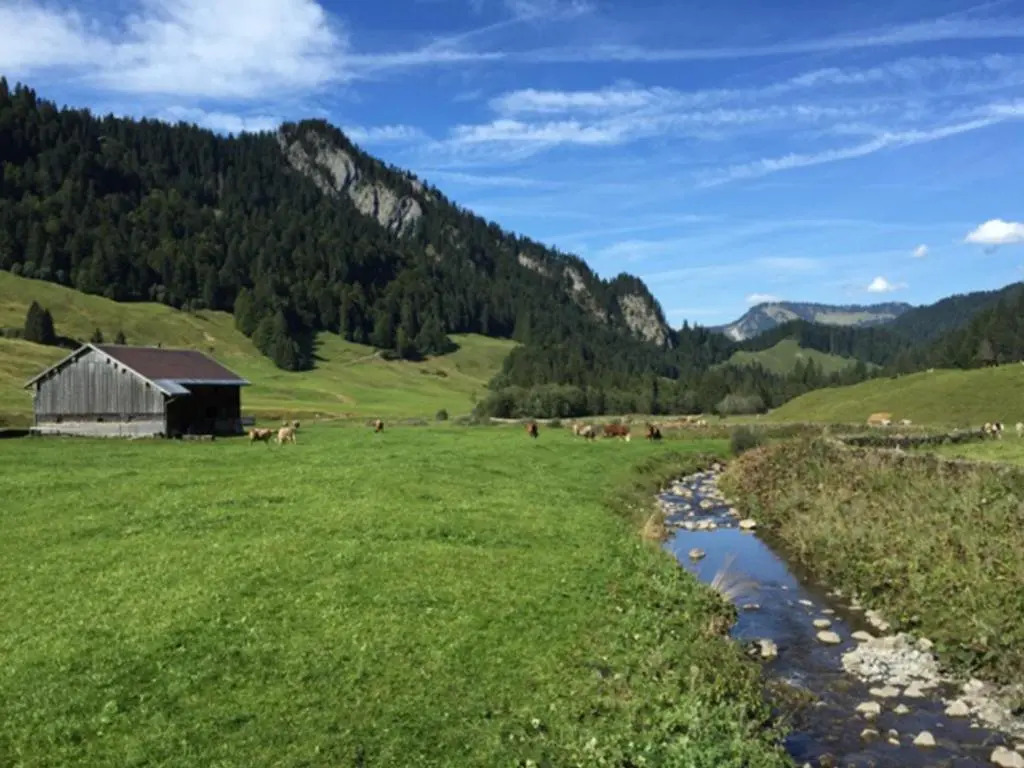 Boutique Apartments Bezau