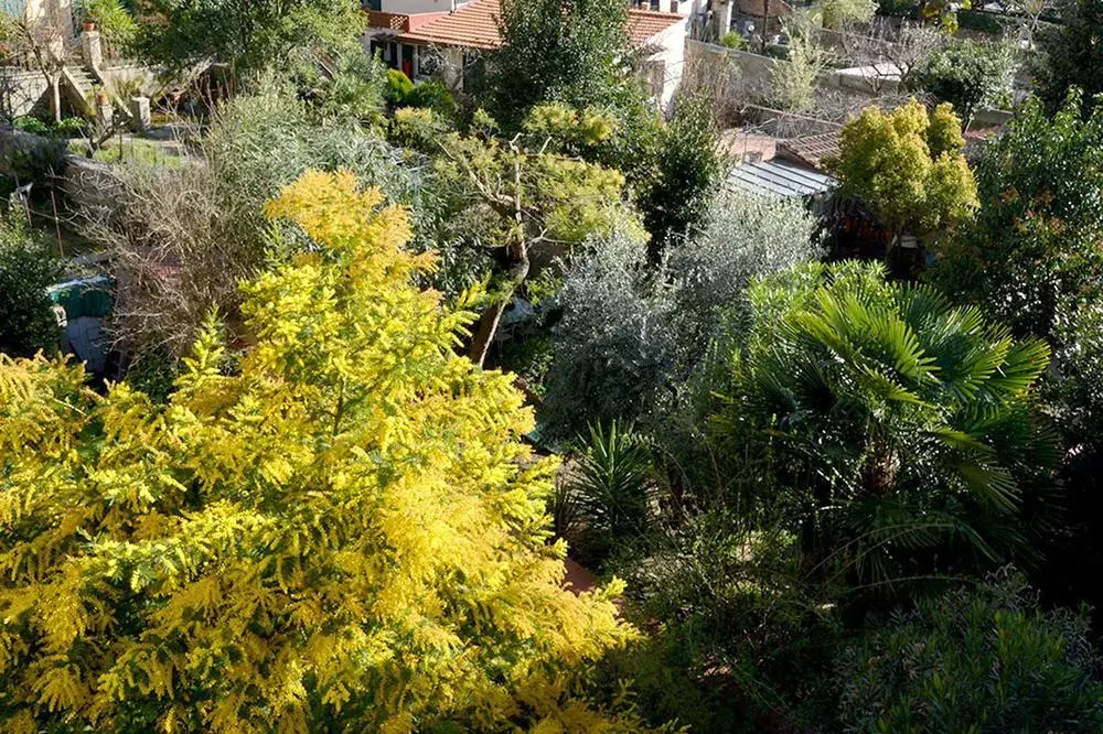 Villa nei fiori