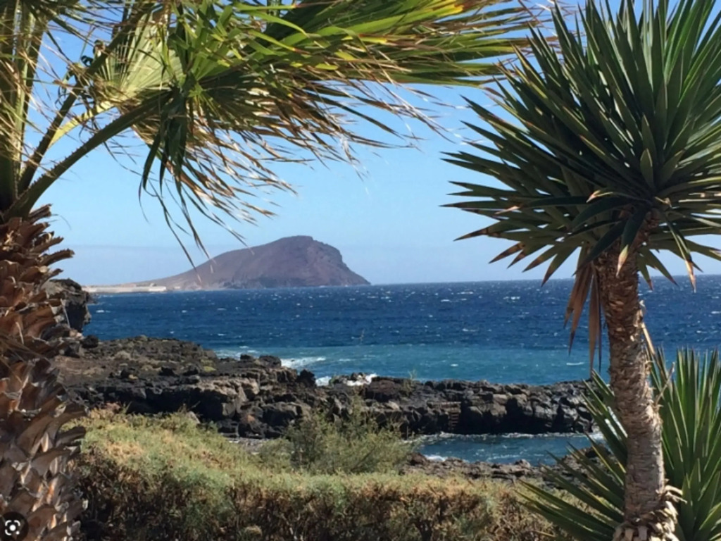 Jessica s Hideaway Amarilla Golf Bliss
