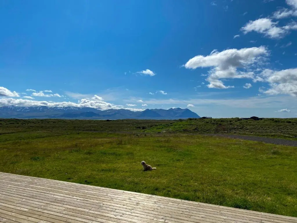 Beautiful house in the nature of West Iceland