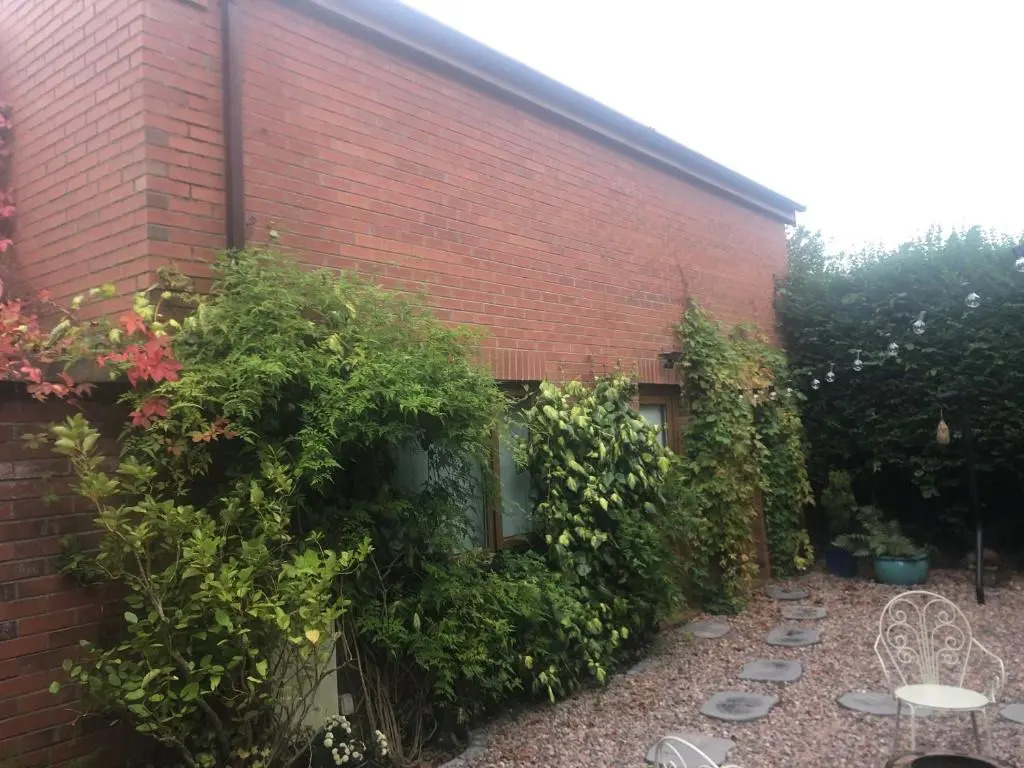 Isolated Self'contained Studio in leafy Belfast