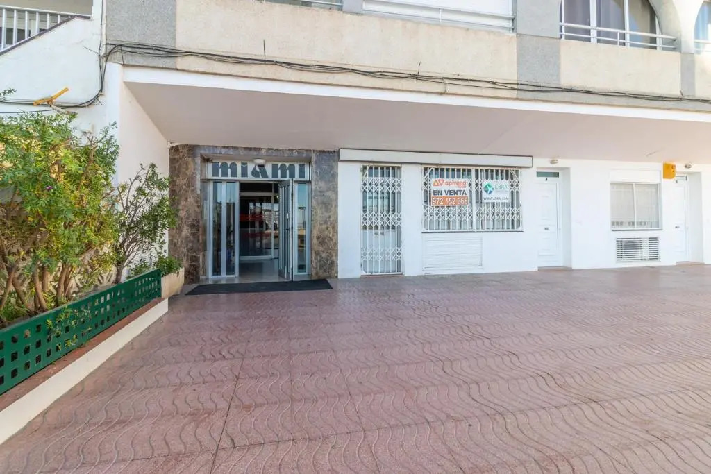 1810- Estudio agradable delante del mar