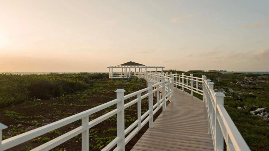 Iberostar Selection Playa Pilar