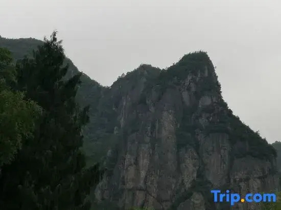 Xianju Banhuju Homestay (Shenxianju Visitor Center)