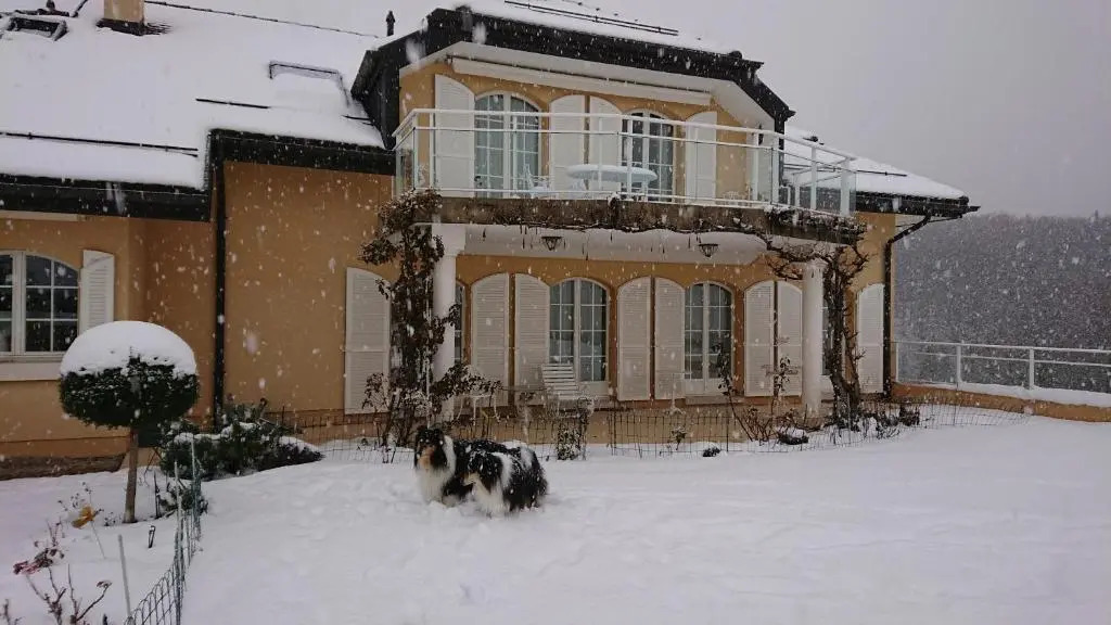 Le Lierre B&B