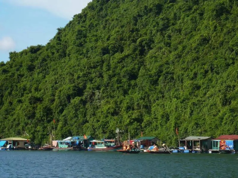 Heritage Line Ylang Cruise - Halong Bay & Lan Ha Bay